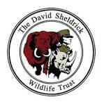 David Sheldrick Wildlife Trust